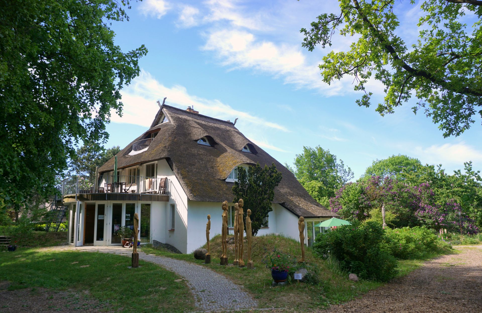 Küste - Fauna